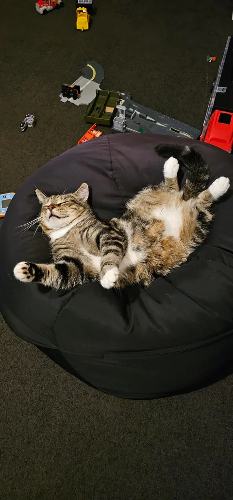 The way he sleeps. From streets to sleeps.