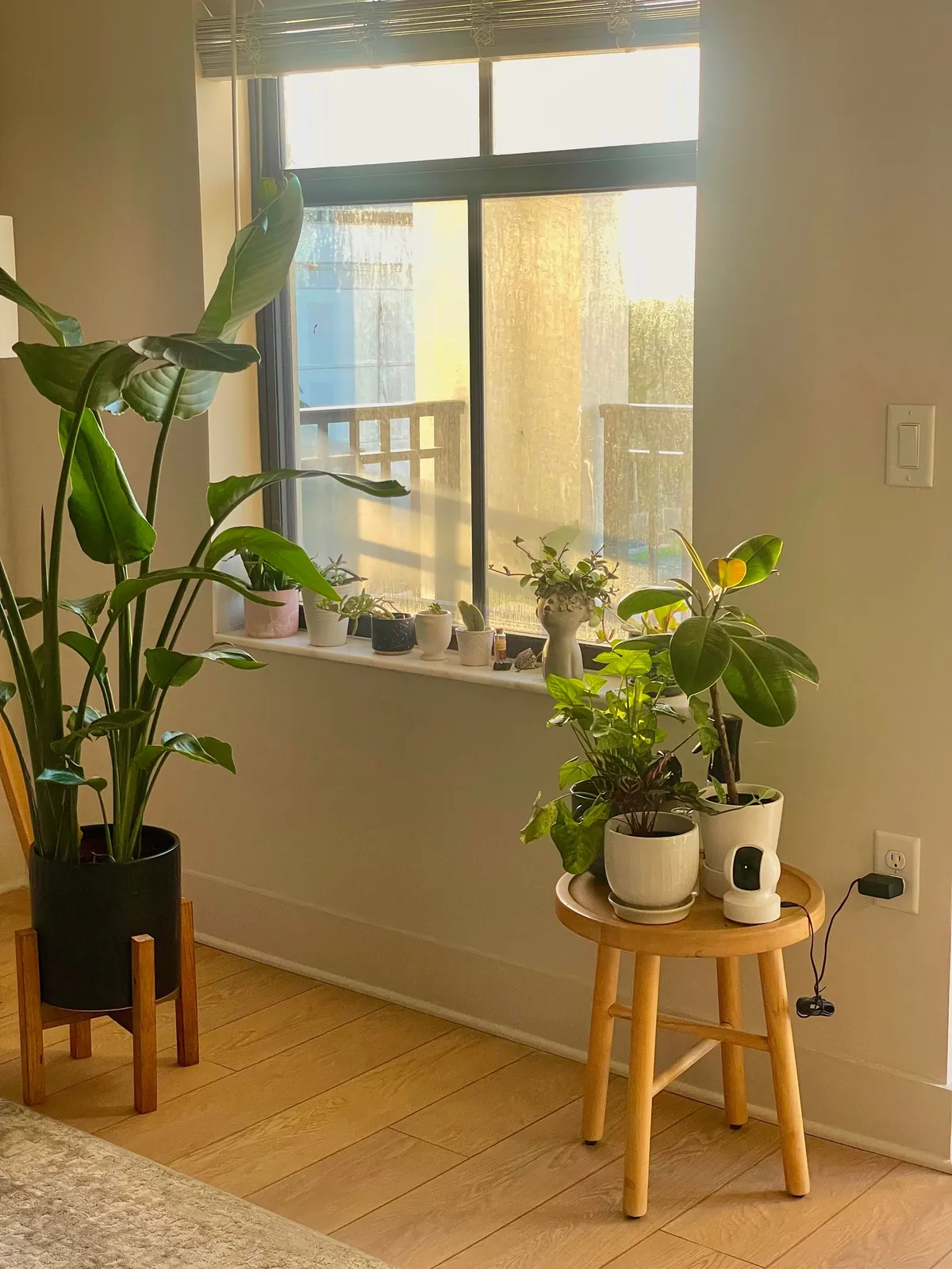 Trying to romanticize my rent🤭