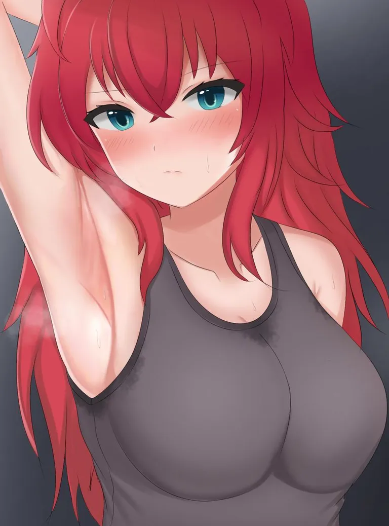 Rias Gremory / リアス・グレモリー