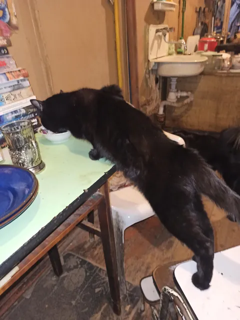 Is it because we named him Crisis?