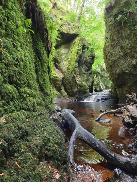 Scottish Highlands - July 2024