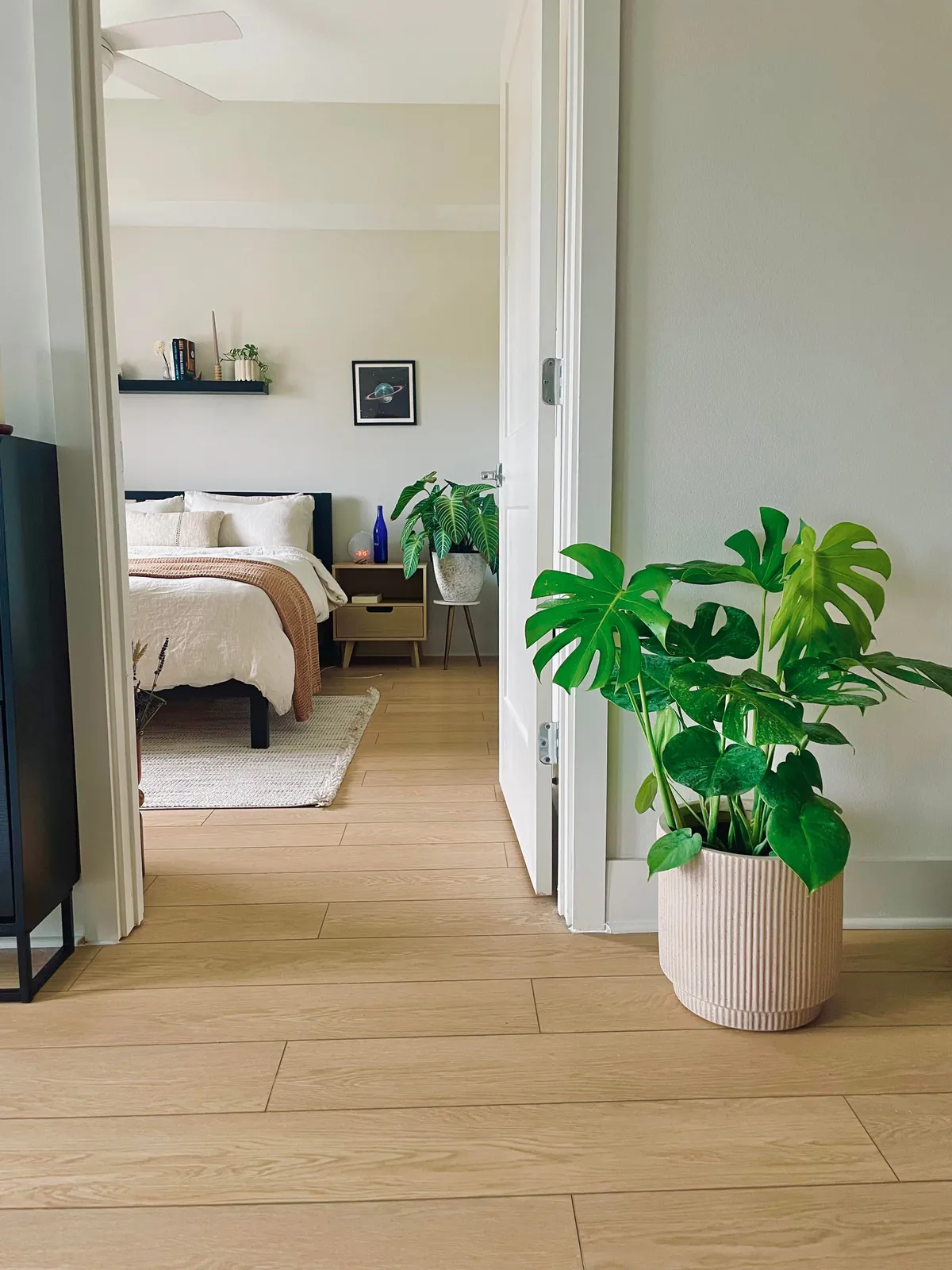 Trying to romanticize my rent🤭