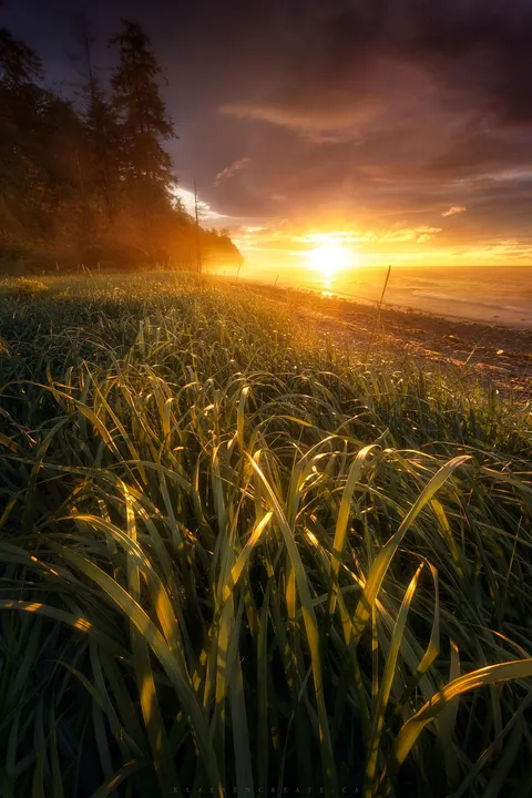 One of the brightest sunsets I've ever witnessed off the coast of Vancouver Island, BC [OC][1334x2000]