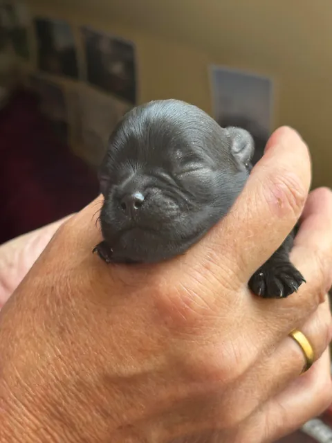 Babies and their proud mama😭