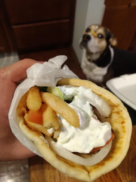 Gyro sandwich