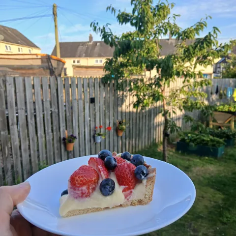 [homemade] Berry Tart with Crème Pâtissière