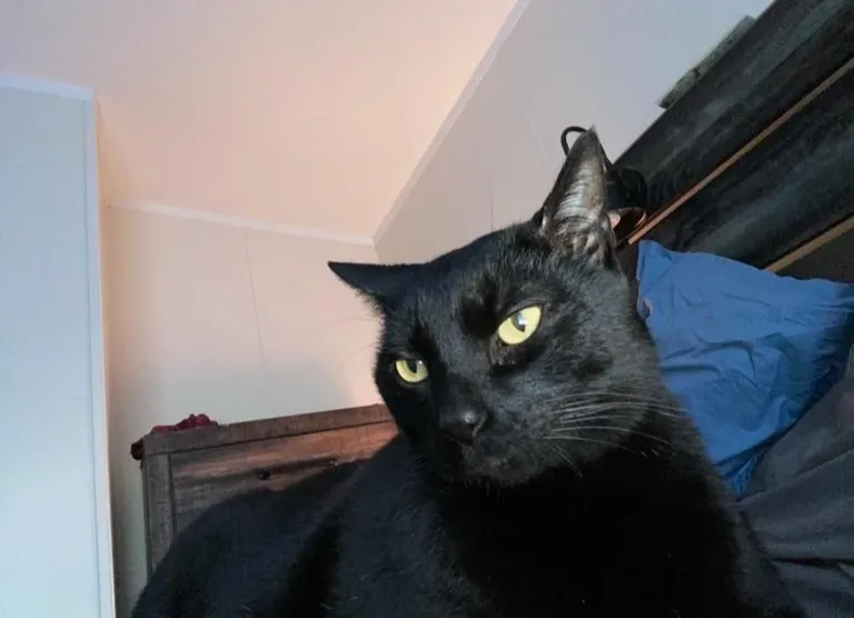 I said goodbye to my void this week after 15 years.