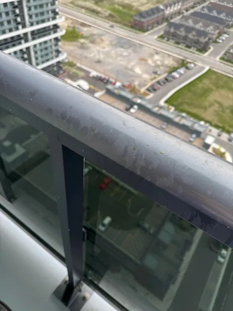 Wanted to enjoy my balcony this morning but…