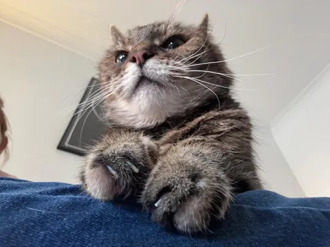 This girl turns 24 next month