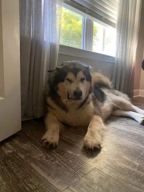 When you wake up from a nap and don’t even know what year it is…