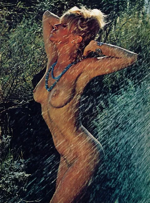 Suzanne Somers in the December 1984 issue of Playboy