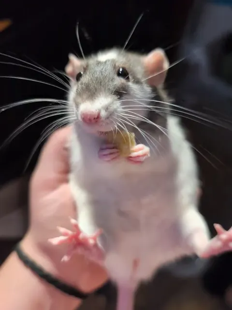 Dose she have crazy eye brows or is that just me