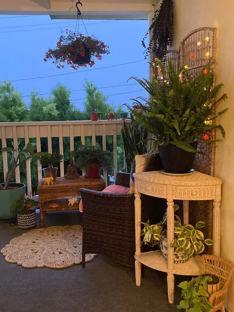 Early morning in SoCal. My favorite place as soon as I wake up!