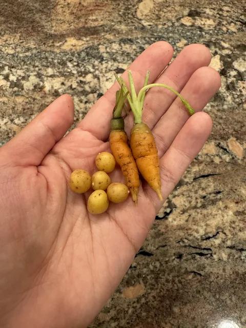 This stew will last us for weeks