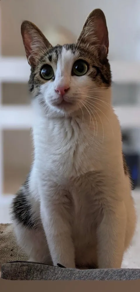 Before Love and After Love