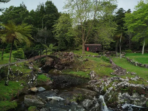 Some pictures of my time in the Azores in 2025