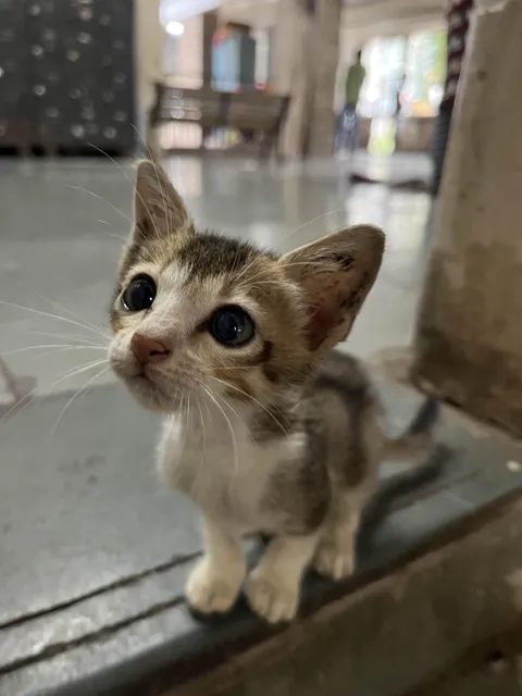 Captured this awesome pic of my cutie