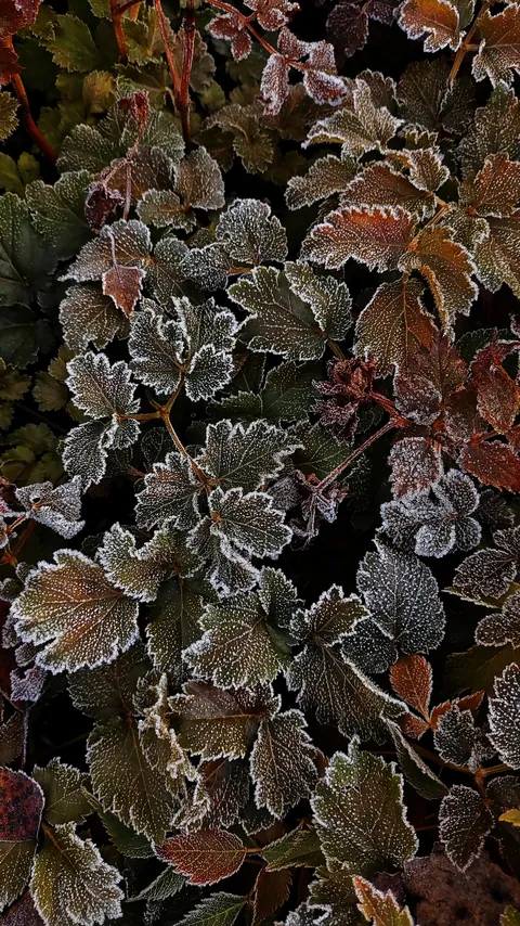 Nature is magnificent