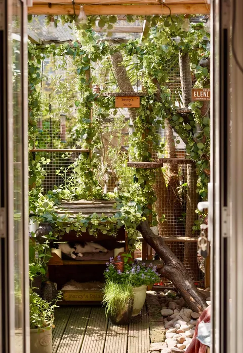 My catio during the day and night