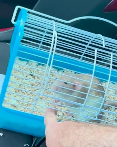 Hand holding car comfort