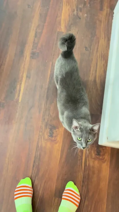 I think she’s going mute