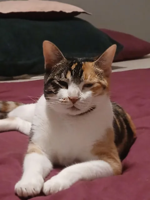 She's just gone. Just like that. Gone.