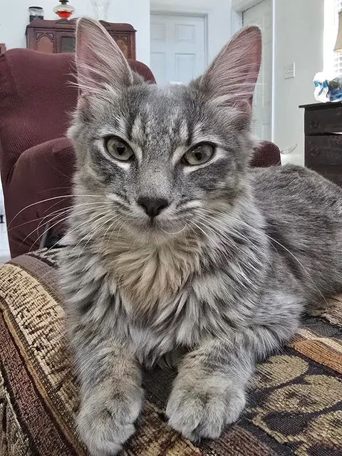 She just keeps getting prettier. Difference in photos is 1 month old and 7 months old