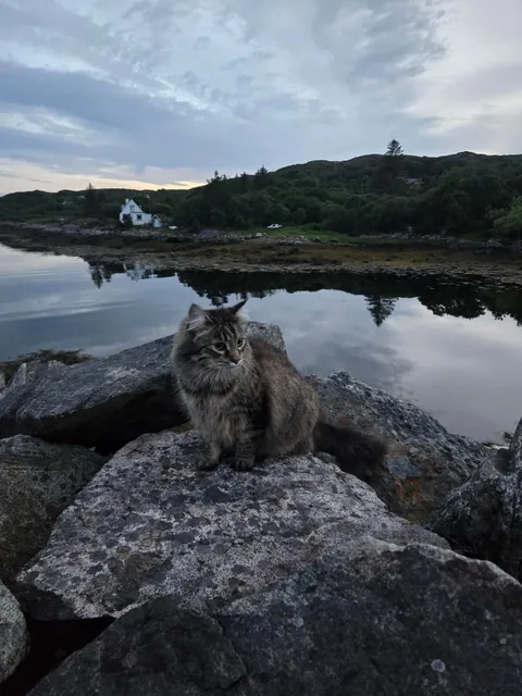 Scottish Highlands - July 2024