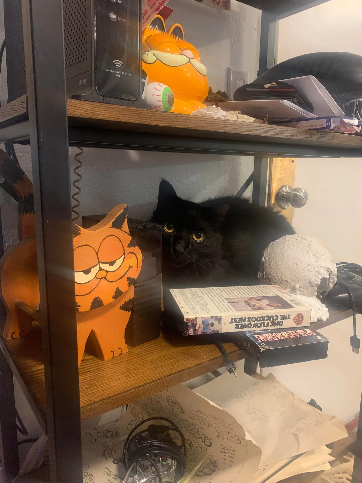 My indoor cat (Ghost) disappeared last night