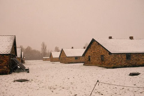 Auschwitz-Birkenau: Nazi German Concentration &amp; Extermination Camp (Poland)