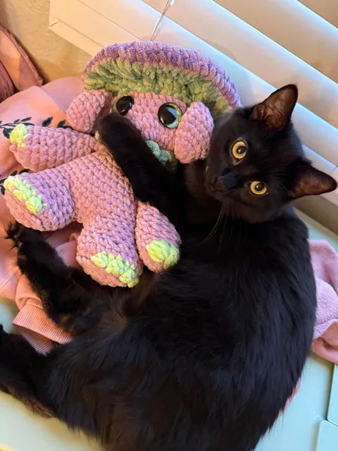 What would you name her?