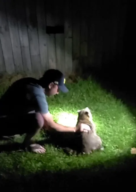 Racoon saved from choking
