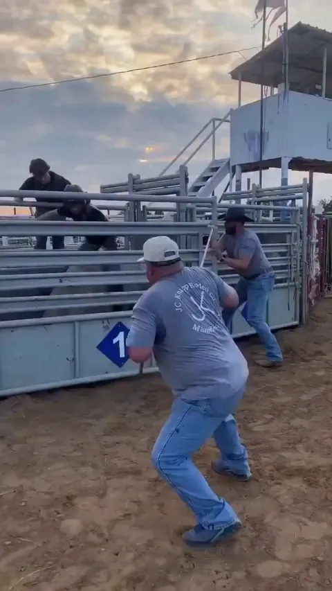 Bull riding gone wrong