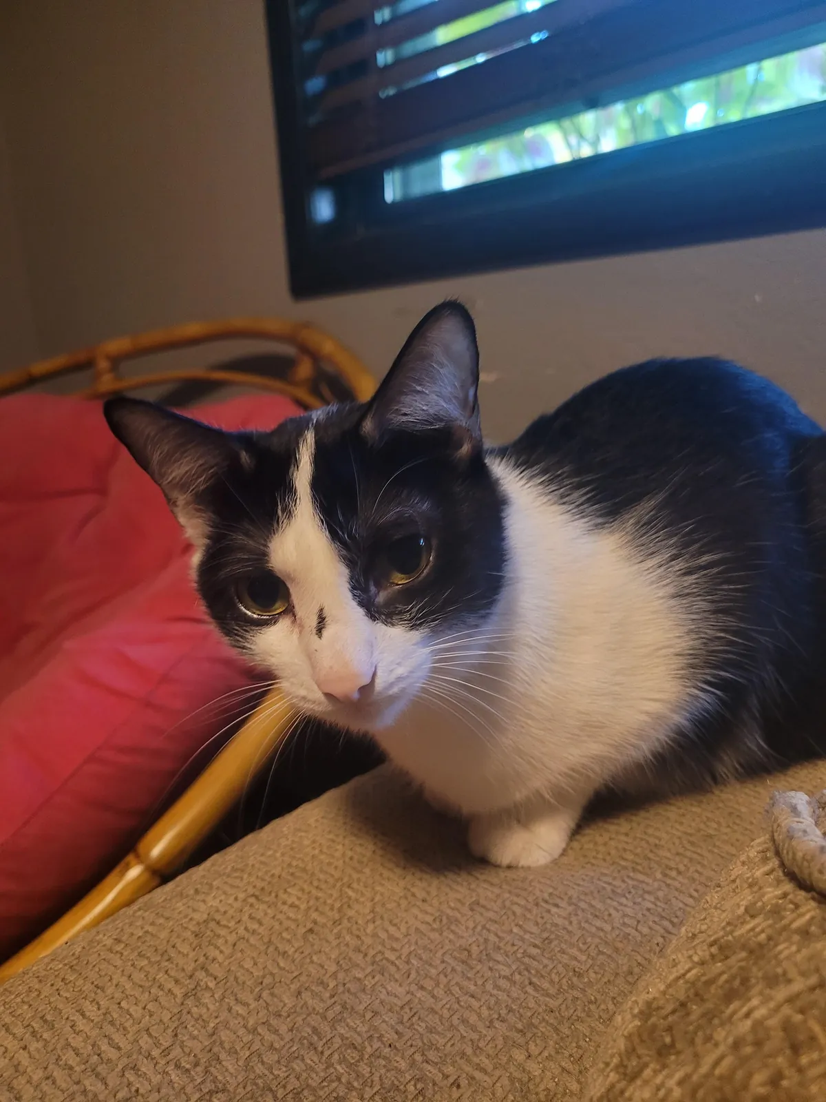 Naming fate was decided