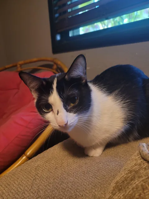 Naming fate was decided