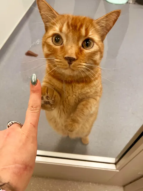 My best friend Rico came to visit me at work today