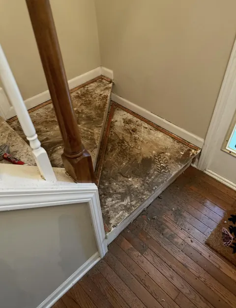 The sheer amount of dirt found beneath the carpet at our new house while replacing the old carpet.