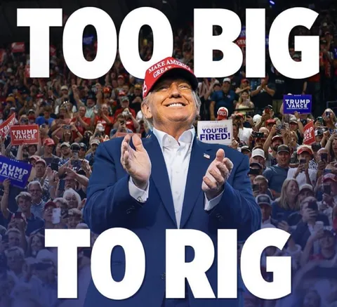 Vote! Make it Too Big To Rig! 
