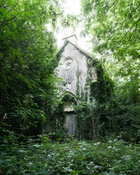 🔥 Mother Nature Embracing a Gothic Chapel