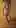 F29, 170cm, 56kg