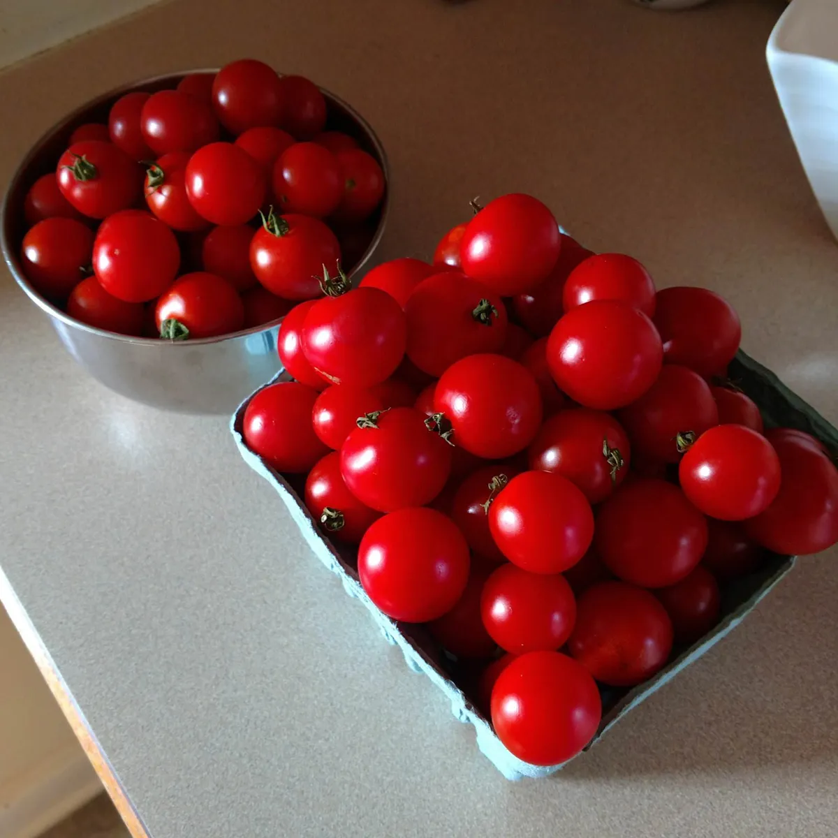 Some of these guys actually made it inside!