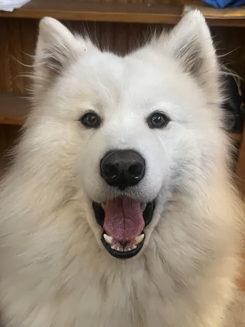 The look you make when you realize Santa comes in 22 days and you have not behaved a minute all year long