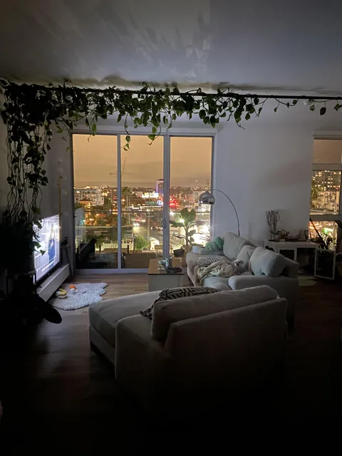 My 40ft long pothos vine makes our living room super cozy.