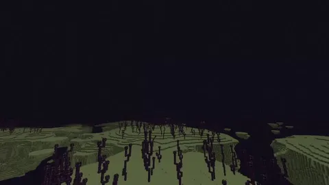 The new Java snapshot added the End light flashes from Vibrant Visuals