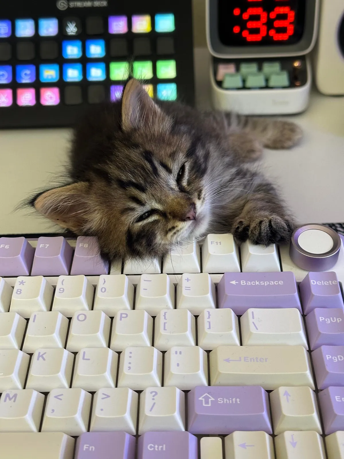 His name is Wilfred and he just stole my entire family’s hearts