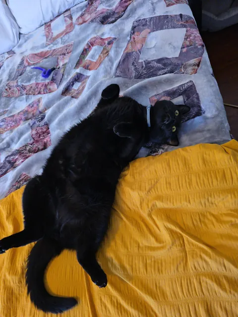 Its Friday the 13th!! Show me your Voids!!!