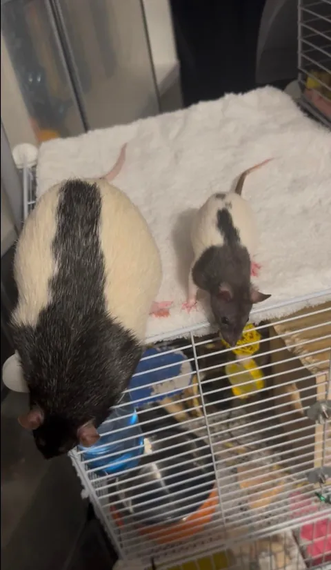 Our biggest and our littlest 🥹