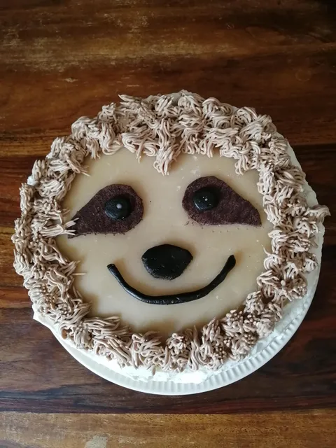 (OC) My mum made a sloth cake for my 30th birthday
