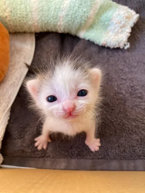 bro looks so proud of himself