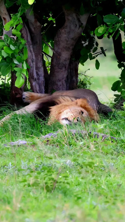 December in Botswana